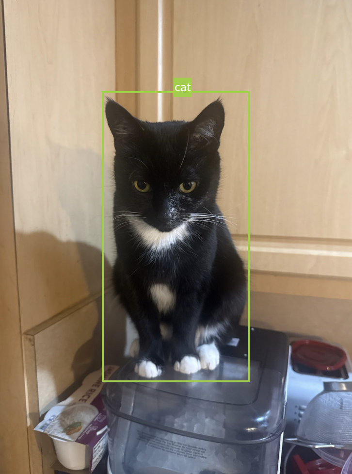 chip being read by object detection software